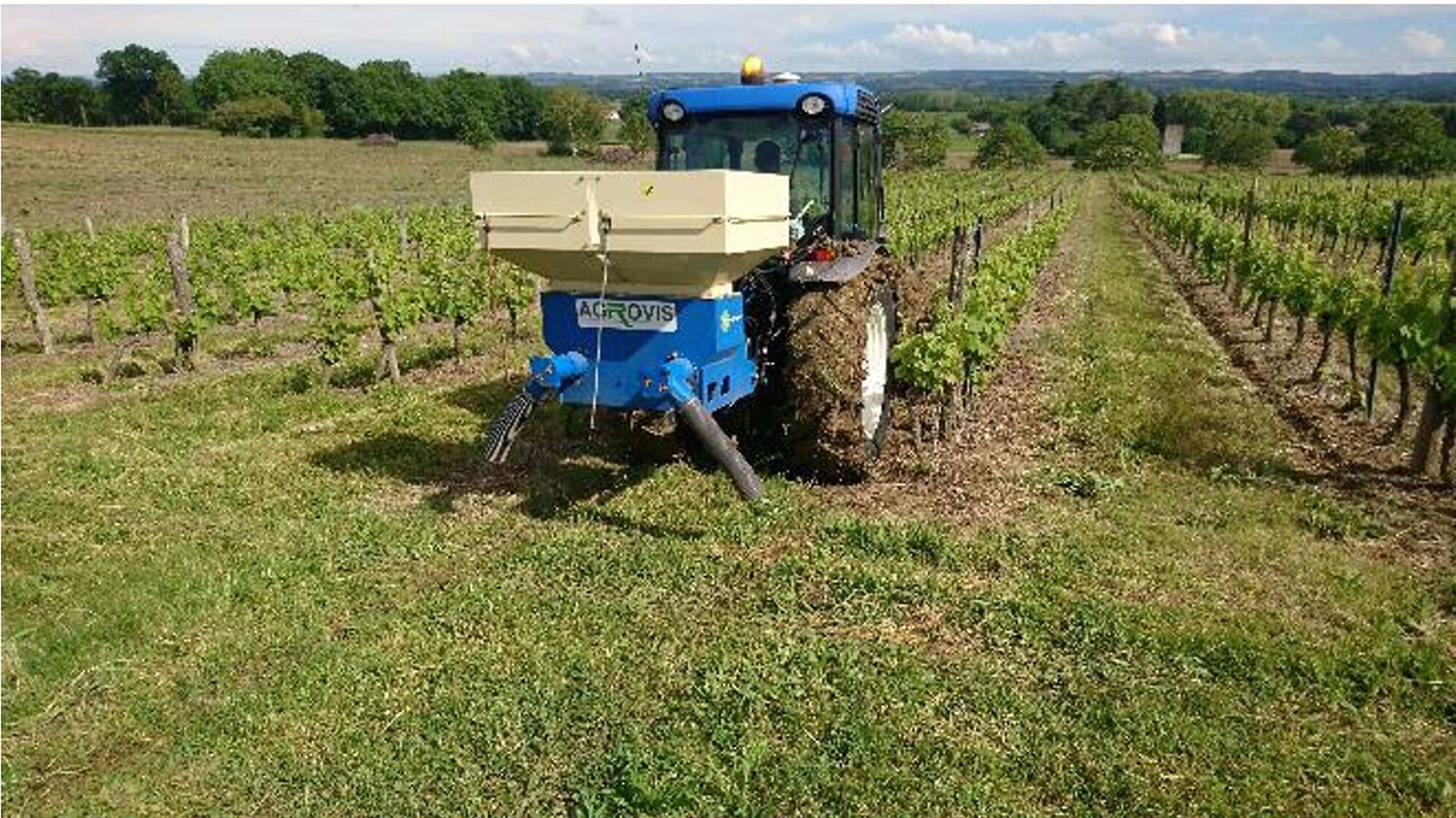 Vers une vigne connectée : les nouvelles frontières de l’agriculture viticole