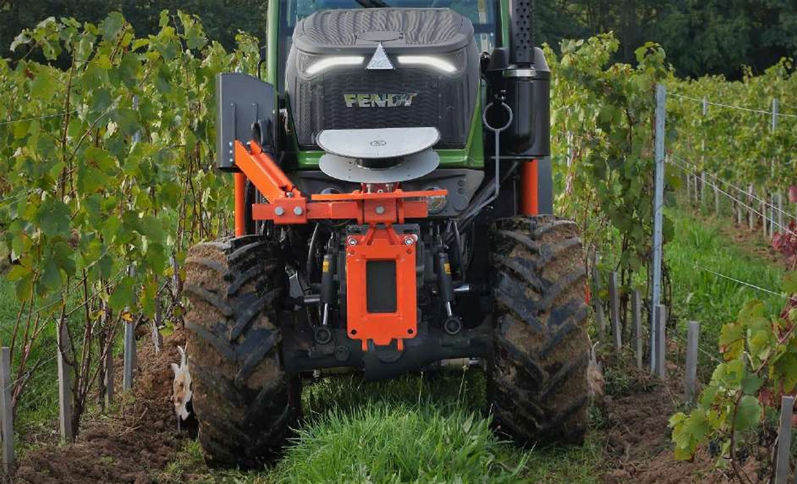 Autoguidage en viticulture : au service de l’efficacité et du confort
